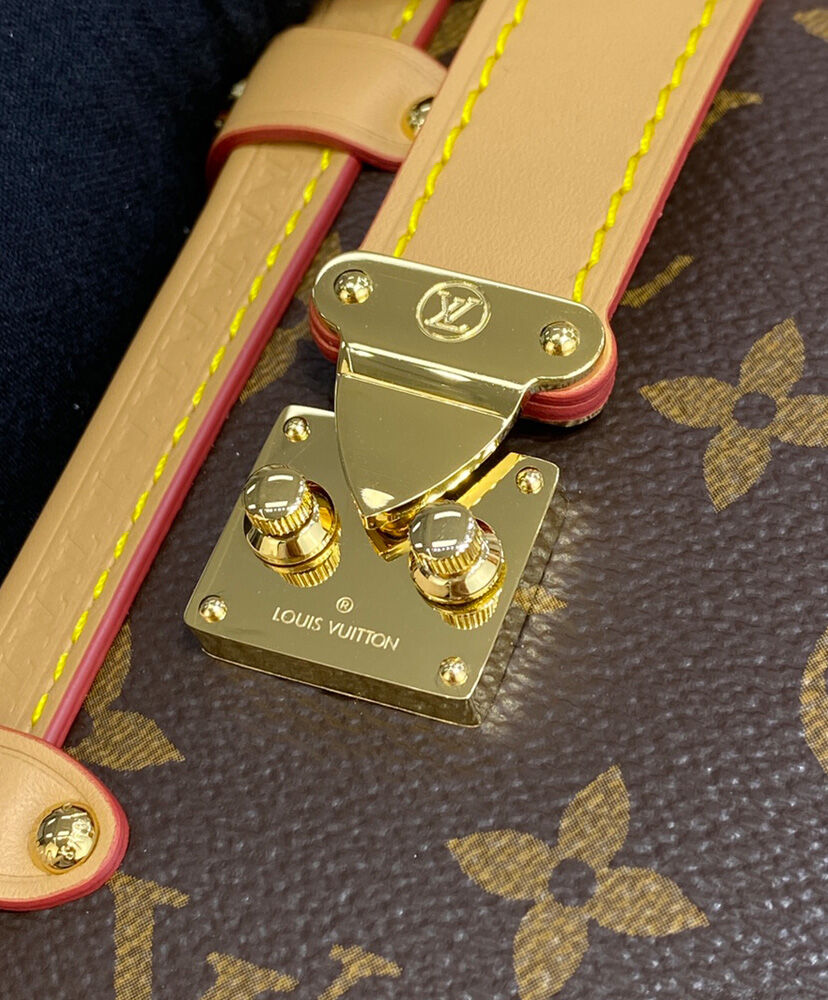 Louis Vuitton Side Trunk PM M46358 Brown