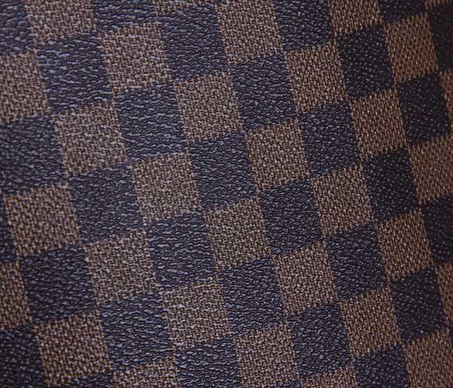 Louis Vuitton Outlet Damier Ebene Graphite Jake Backpack 41558 Coffee